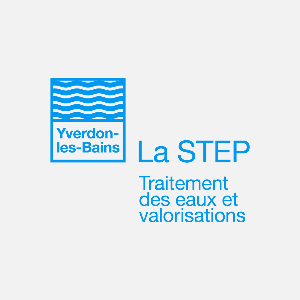 Step Logo